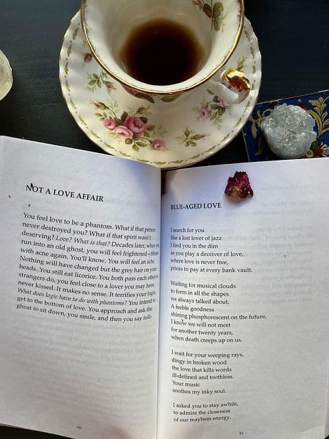 The Divine Poem analysis watermark