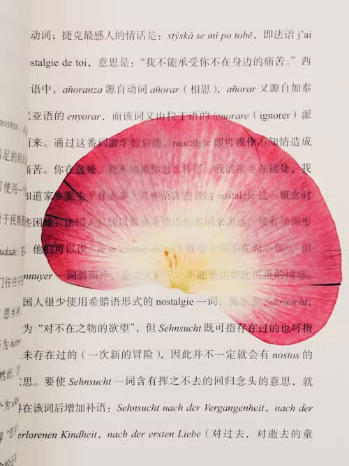 (ELL 202) What is Language.... AH🎗️