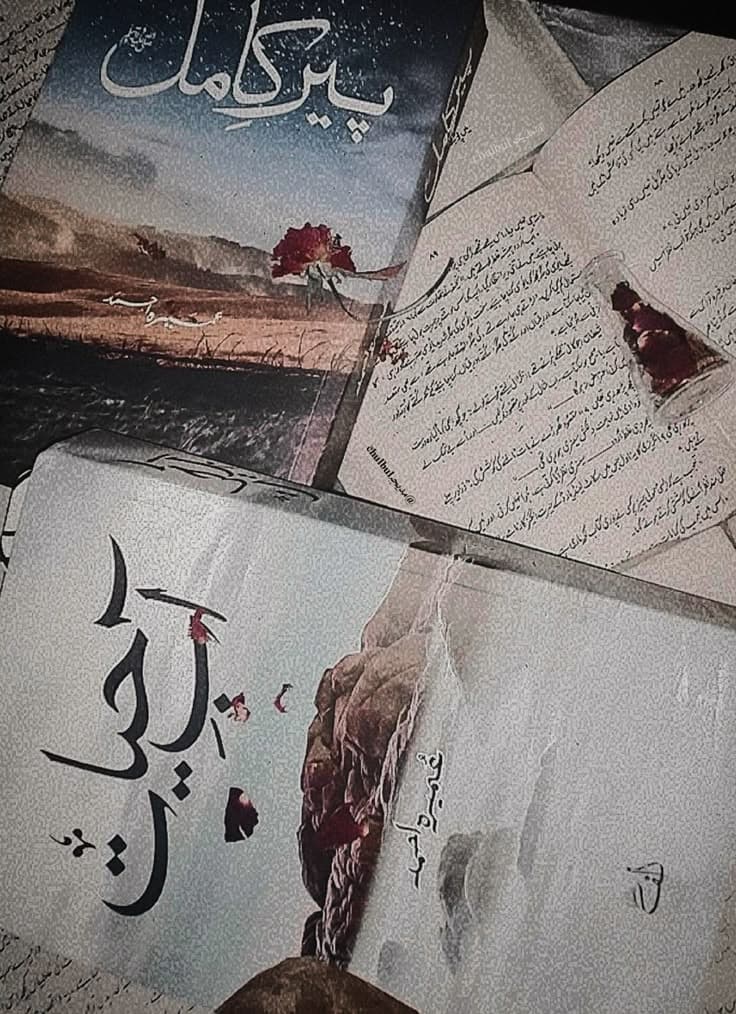 NovelsDil ke dagh by Neelam Riasat